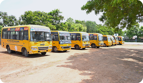 School transportation buses